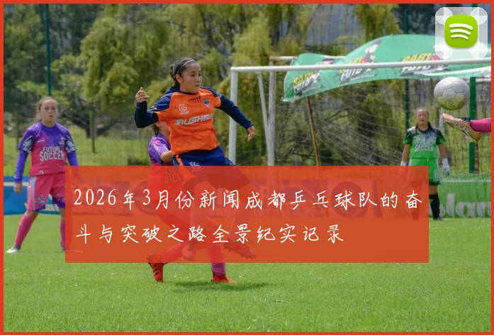 2026年3月份新闻成都乒乓球队的奋斗与突破之路全景纪实记录