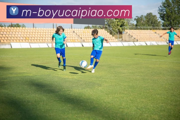 博鱼彩票平台生态图